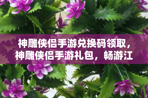 神雕侠侣手游兑换码领取图片