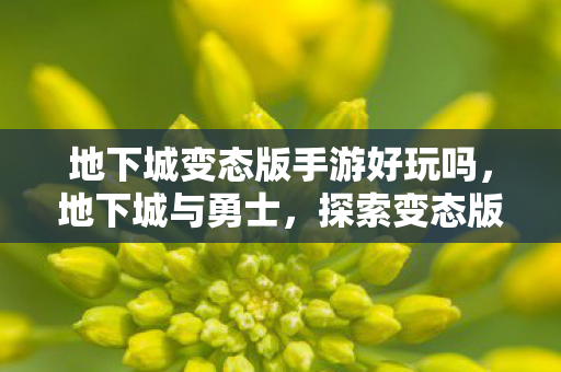 地下城变态版手游好玩吗,地下城与勇士,探索变态版的独特魅力 地下城变态版手游好玩吗,地下城与勇士,探索变态版的独特魅力