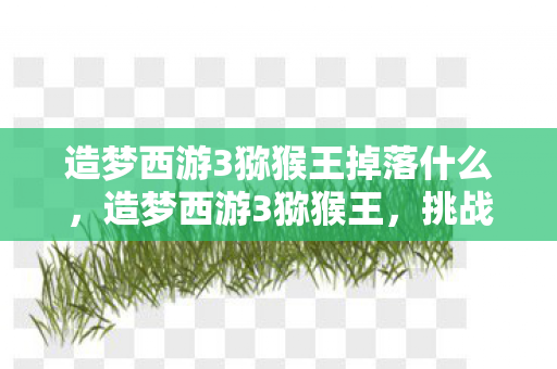 造梦西游3猕猴王掉落什么图片