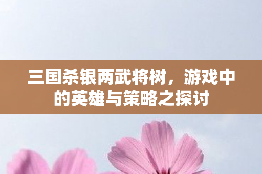 三国杀银两武将树,游戏中的英雄与策略之探讨 三国杀银两武将树,游戏中的英雄与策略之探讨