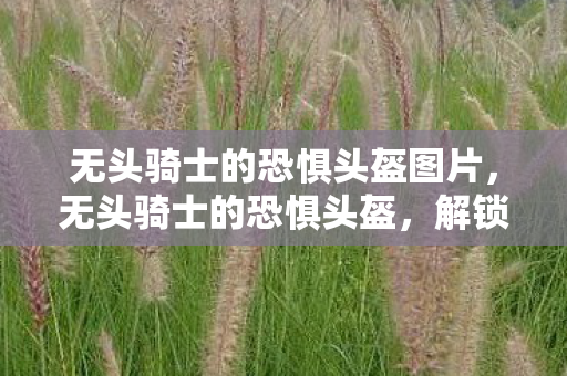 无头骑士的恐惧头盔图片图片