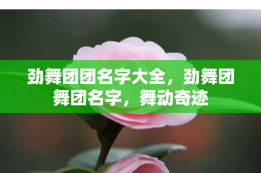 劲舞团团名字大全图片