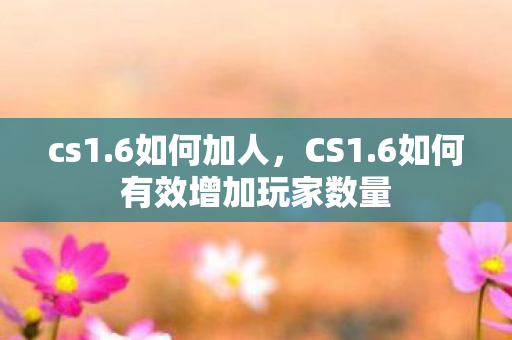 cs1.6如何加人,CS1.6如何有效增加玩家数量 cs1.6如何加人,CS1.6如何有效增加玩家数量