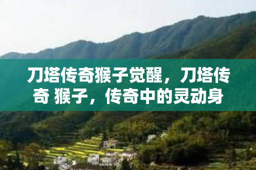 刀塔传奇猴子觉醒图片
