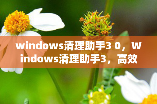windows清理助手3 0图片