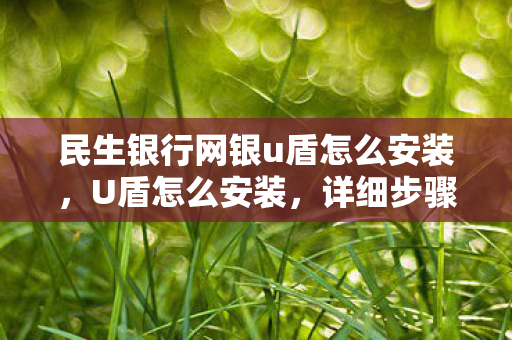 民生银行网银u盾怎么安装图片