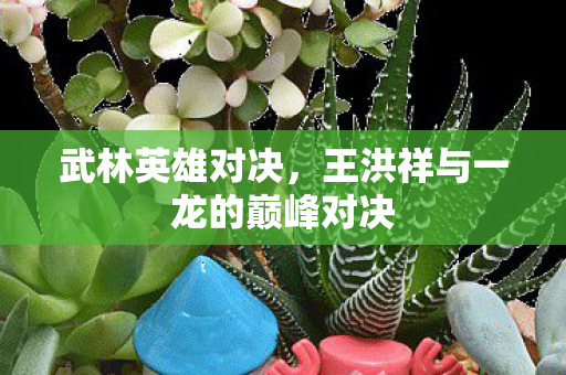 武林英雄对决,王洪祥与一龙的巅峰对决 武林英雄对决,王洪祥与一龙的巅峰对决