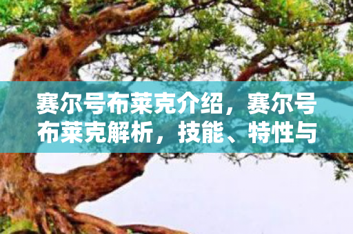 赛尔号布莱克介绍，赛尔号布莱克解析，技能、特性与战术应用