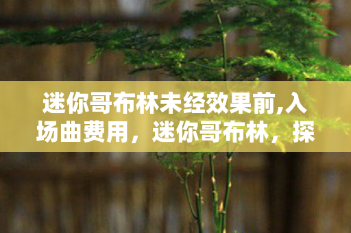 探索未知世界的奇妙冒险图片