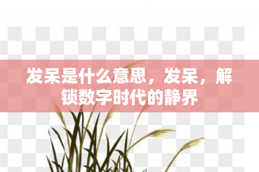 解锁数字时代的静界图片