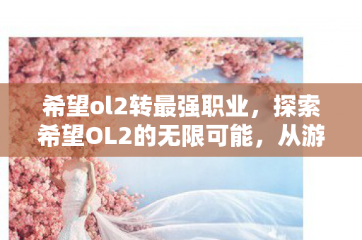 希望ol2转最强职业，探索希望OL2的无限可能，从游戏体验到社区生态的深度剖析