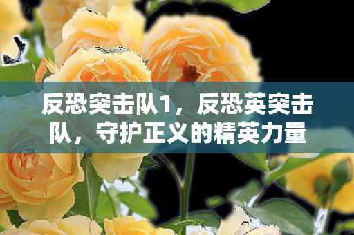 反恐突击队1，反恐英突击队，守护正义的精英力量