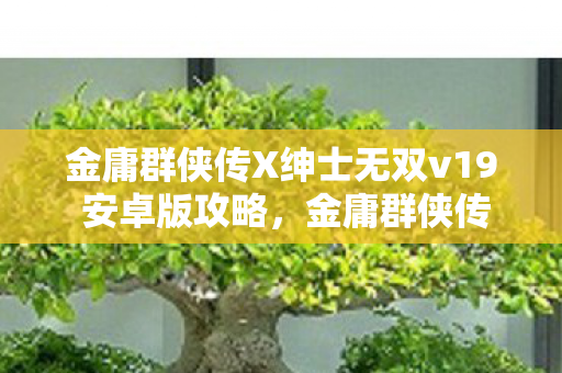 金庸群侠传X绅士无双v19 安卓版攻略图片