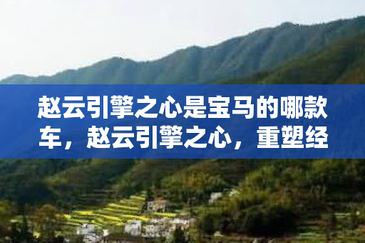 赵云引擎之心是宝马的哪款车图片