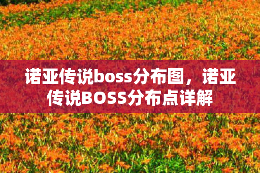 诺亚传说BOSS分布点详解图片