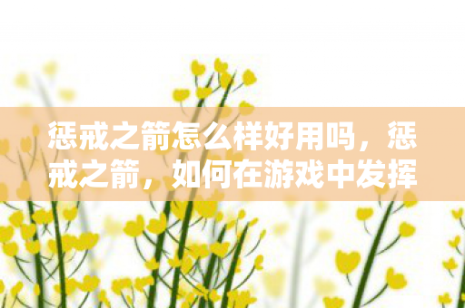 惩戒之箭怎么样好用吗，惩戒之箭，如何在游戏中发挥最大效用