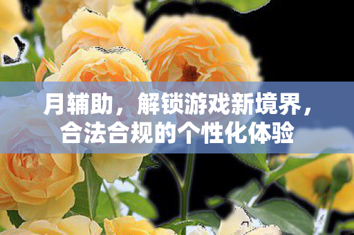 月辅助,解锁游戏新境界,合法合规的个性化体验 月辅助,解锁游戏新境界,合法合规的个性化体验