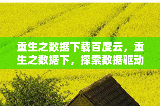 探索数据驱动的商业变革图片