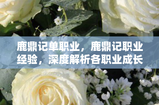 鹿鼎记单职业,鹿鼎记职业经验,深度解析各职业成长之路 鹿鼎记单职业,鹿鼎记职业经验,深度解析各职业成长之路