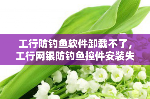 工行防钓鱼软件卸载不了,工行网银防钓鱼控件安装失败,原因分析与解决策略 工行防钓鱼软件卸载不了,工行网银防钓鱼控件安装失败,原因分析与解决策略