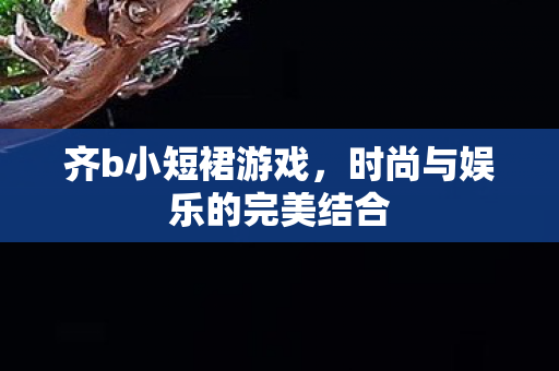 齐b小短裙游戏,时尚与娱乐的完美结合 齐b小短裙游戏,时尚与娱乐的完美结合