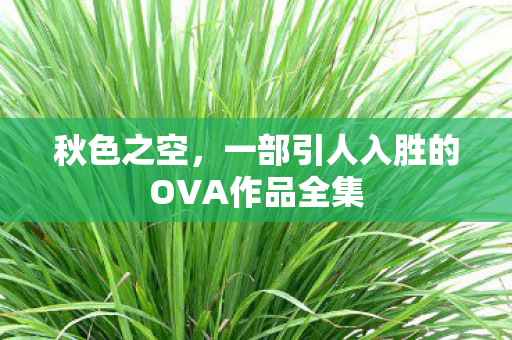 秋色之空,一部引人入胜的OVA作品全集 秋色之空,一部引人入胜的OVA作品全集
