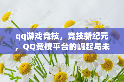 qq游戏竞技，竞技新纪元，QQ竞技平台的崛起与未来展望