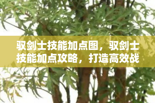 驭剑士技能加点图,驭剑士技能加点攻略,打造高效战斗力的关键 驭剑士技能加点图,驭剑士技能加点攻略,打造高效战斗力的关键