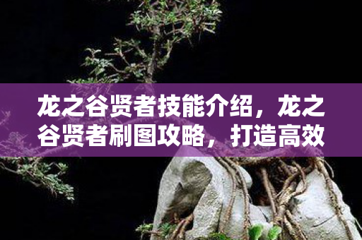 龙之谷贤者技能介绍图片