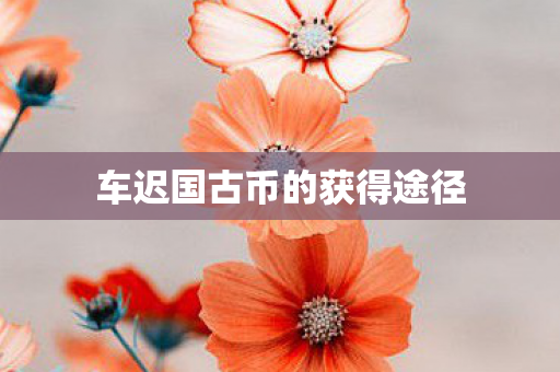 车迟国古币的获得途径 车迟国古币的获得途径