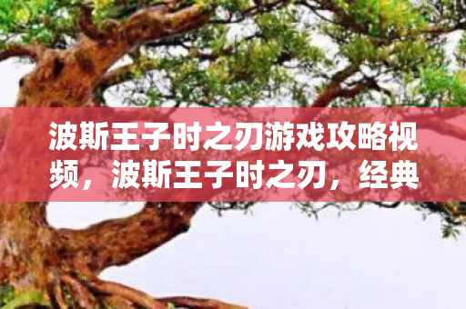 波斯王子时之刃游戏攻略视频图片
