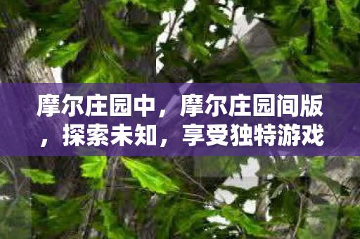 享受独特游戏体验图片
