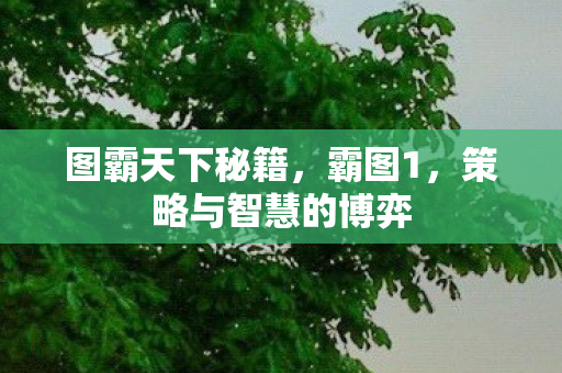 图霸天下秘籍,霸图1,策略与智慧的博弈 图霸天下秘籍,霸图1,策略与智慧的博弈