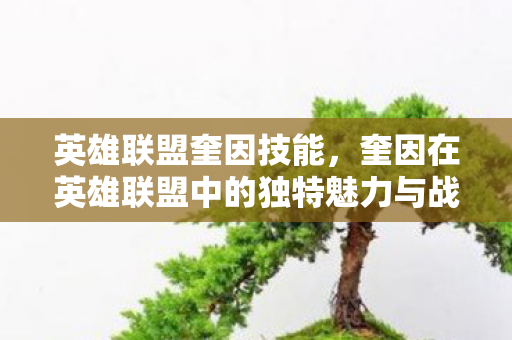 英雄联盟奎因技能,奎因在英雄联盟中的独特魅力与战术解析 英雄联盟奎因技能,奎因在英雄联盟中的独特魅力与战术解析