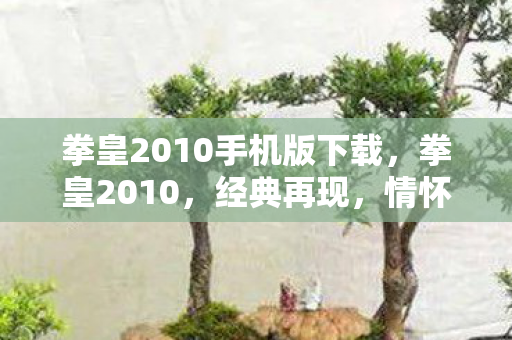 拳皇2010手机版下载,拳皇2010,经典再现,情怀与创新的完美融合 拳皇2010手机版下载,拳皇2010,经典再现,情怀与创新的完美融合