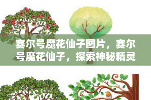 赛尔号魔花仙子图片,赛尔号魔花仙子,探索神秘精灵世界的奇妙之旅 赛尔号魔花仙子图片,赛尔号魔花仙子,探索神秘精灵世界的奇妙之旅