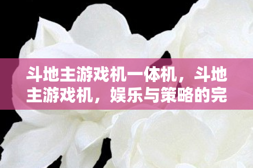 斗地主游戏机一体机,斗地主游戏机,娱乐与策略的完美结合 斗地主游戏机一体机,斗地主游戏机,娱乐与策略的完美结合