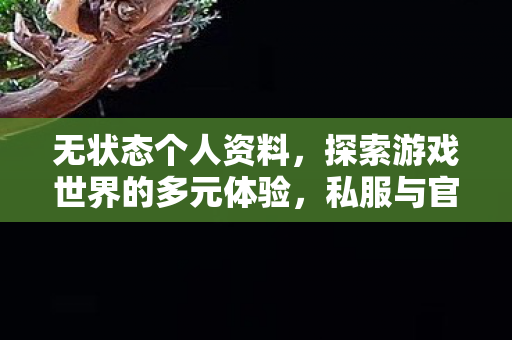 无状态个人资料,探索游戏世界的多元体验,私服与官方服务器的独特魅力 无状态个人资料,探索游戏世界的多元体验,私服与官方服务器的独特魅力