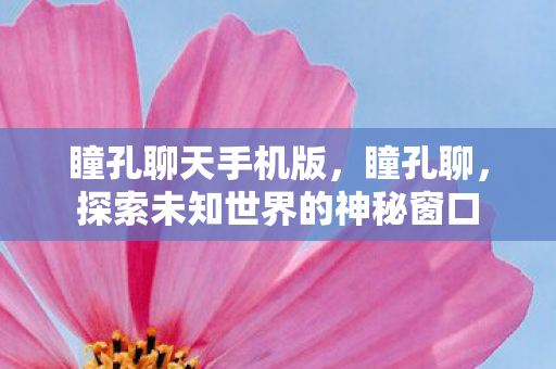 瞳孔聊天手机版，瞳孔聊，探索未知世界的神秘窗口