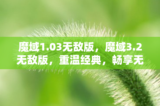 魔域1.03无敌版，魔域3.2无敌版，重温经典，畅享无限可能