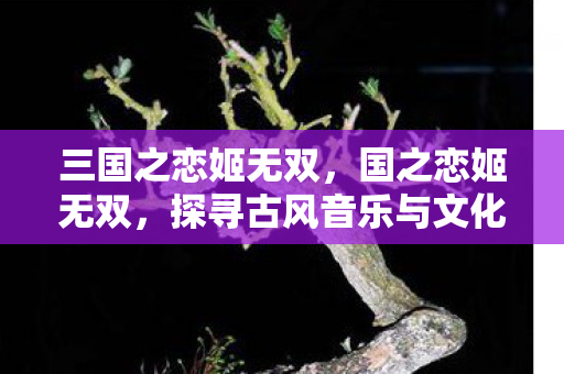 三国之恋姬无双,国之恋姬无双,探寻古风音乐与文化的独特魅力 三国之恋姬无双,国之恋姬无双,探寻古风音乐与文化的独特魅力