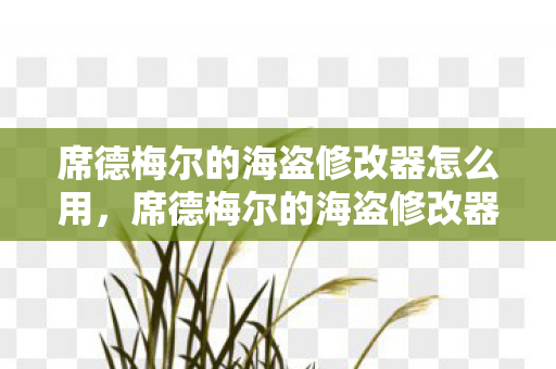 席德梅尔的海盗修改器怎么用,席德梅尔的海盗修改器,探索游戏乐趣的新边界 席德梅尔的海盗修改器怎么用,席德梅尔的海盗修改器,探索游戏乐趣的新边界