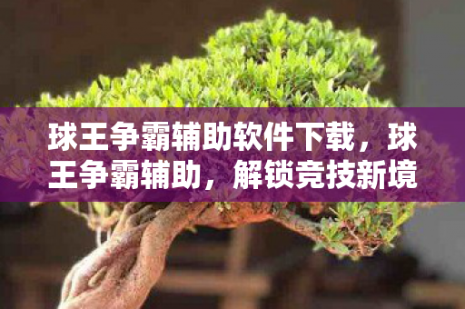 球王争霸辅助软件下载,球王争霸辅助,解锁竞技新境界 球王争霸辅助软件下载,球王争霸辅助,解锁竞技新境界