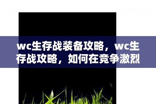 wc生存战装备攻略,wc生存战攻略,如何在竞争激烈的战场中脱颖而出 wc生存战装备攻略,wc生存战攻略,如何在竞争激烈的战场中脱颖而出