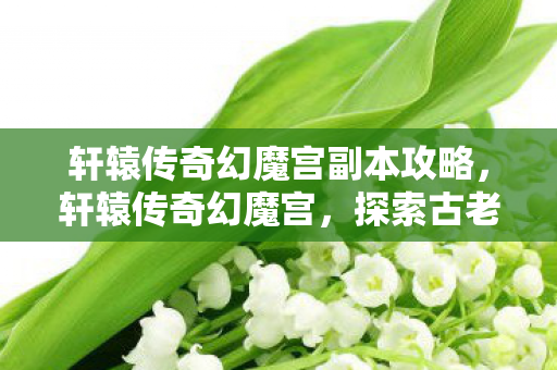 轩辕传奇幻魔宫副本攻略，轩辕传奇幻魔宫，探索古老神秘的奇幻之旅