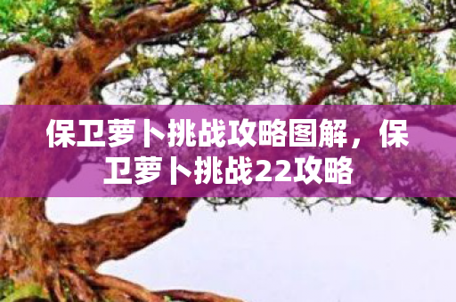 保卫萝卜挑战攻略图解，保卫萝卜挑战22攻略