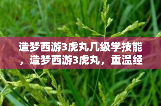 造梦西游3虎丸几级学技能,造梦西游3虎丸,重温经典,探索未知 造梦西游3虎丸几级学技能,造梦西游3虎丸,重温经典,探索未知
