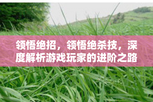 领悟绝招,领悟绝杀技,深度解析游戏玩家的进阶之路 领悟绝招,领悟绝杀技,深度解析游戏玩家的进阶之路