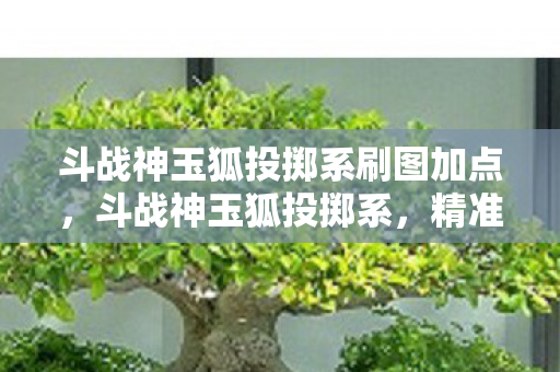 斗战神玉狐投掷系刷图加点,斗战神玉狐投掷系,精准操控与策略并重的战斗艺术 斗战神玉狐投掷系刷图加点,斗战神玉狐投掷系,精准操控与策略并重的战斗艺术