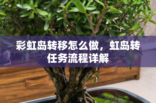 彩虹岛转移怎么做,虹岛转任务流程详解 彩虹岛转移怎么做,虹岛转任务流程详解